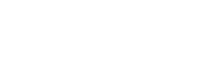 Fenix Autopartes